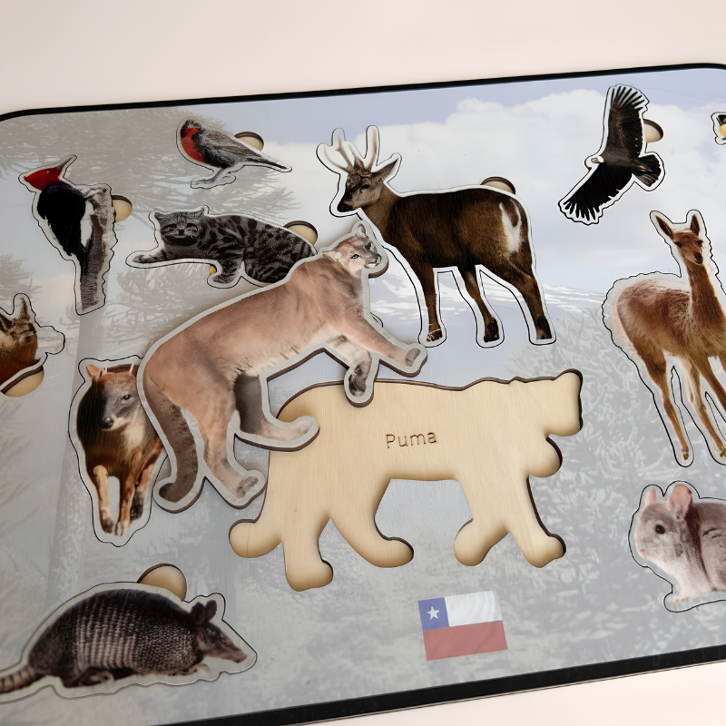 Juego de encaje Montessori con Animales Nativos de Chile – Diseño Exclusivo