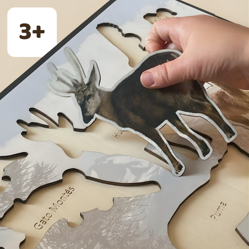 Juego de encaje Montessori con Animales Nativos de Chile – Diseño Exclusivo