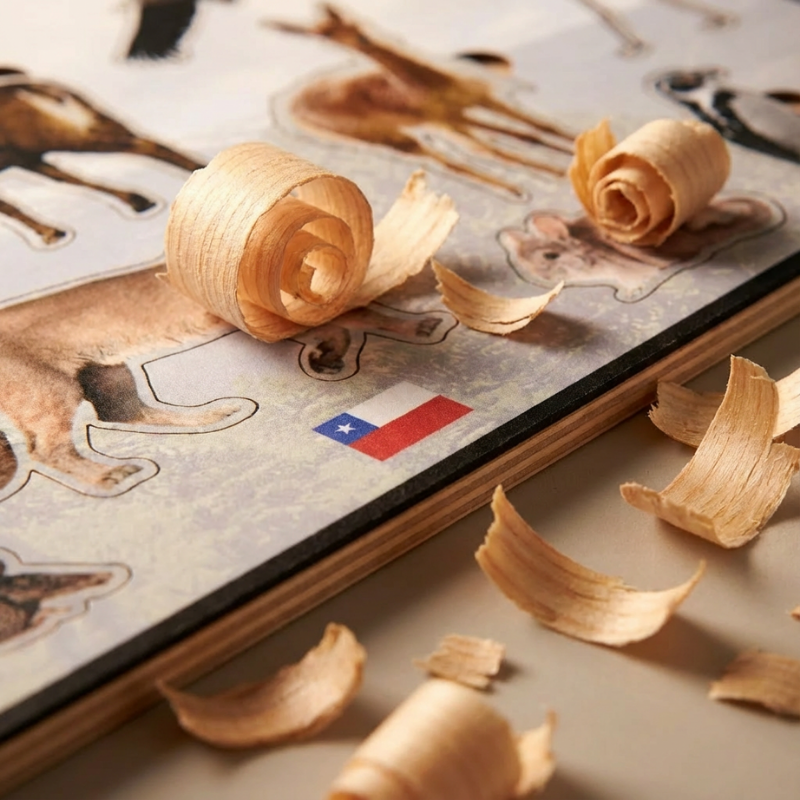 Juego de encaje Montessori con Animales Nativos de Chile – Diseño Exclusivo