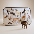 Juego de encaje Montessori con Animales Nativos de Chile – Diseño Exclusivo